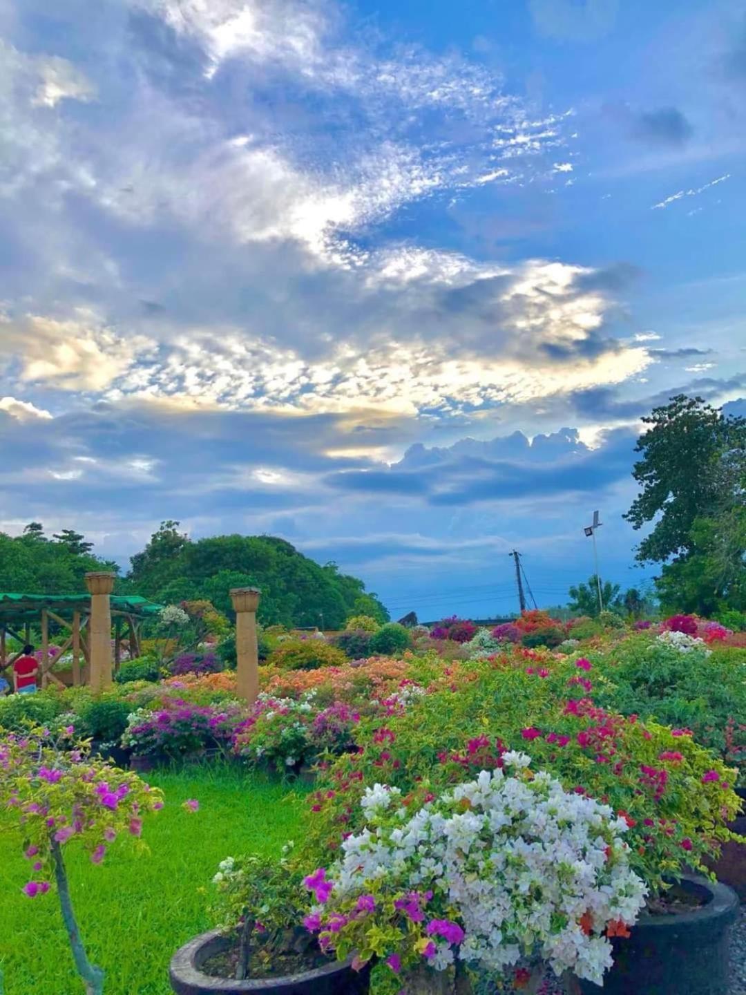 Beach Resorts Walking Distance To The Town House Davao City Esterno foto